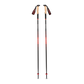 Carbon