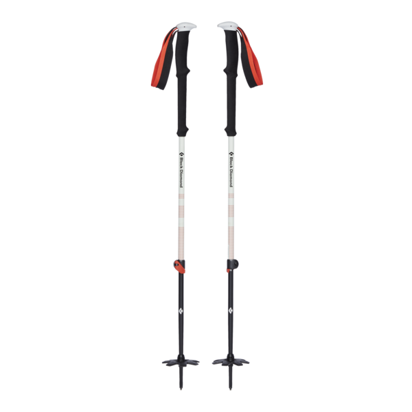 Expedition 2 Ski Poles