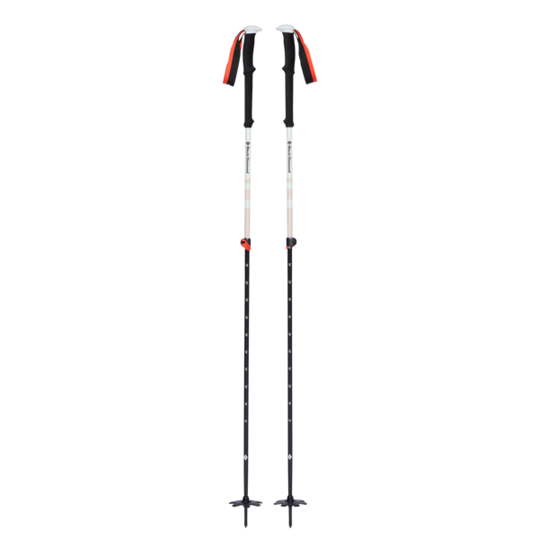 Expedition 2 Ski Poles