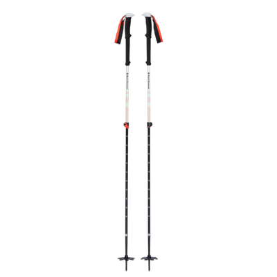 Expedition 2 Ski Poles