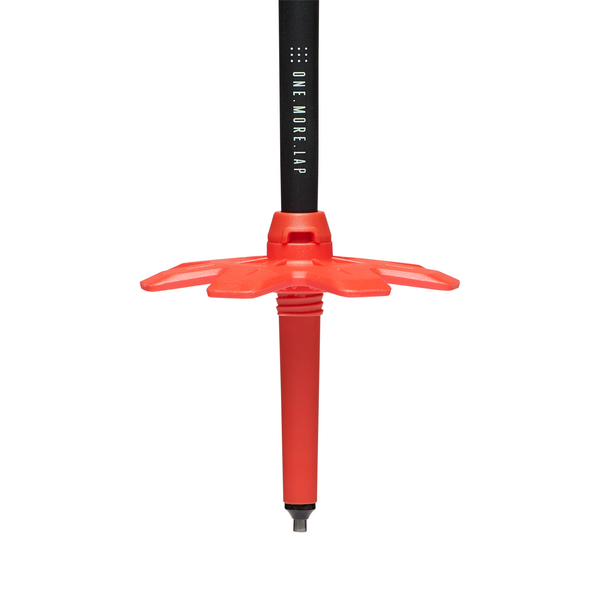 Traverse Ski Poles