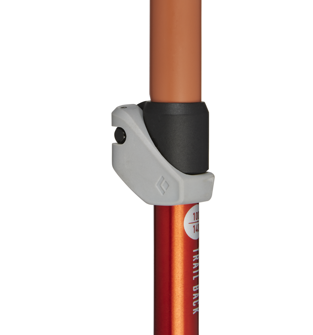 Burnt Sienna