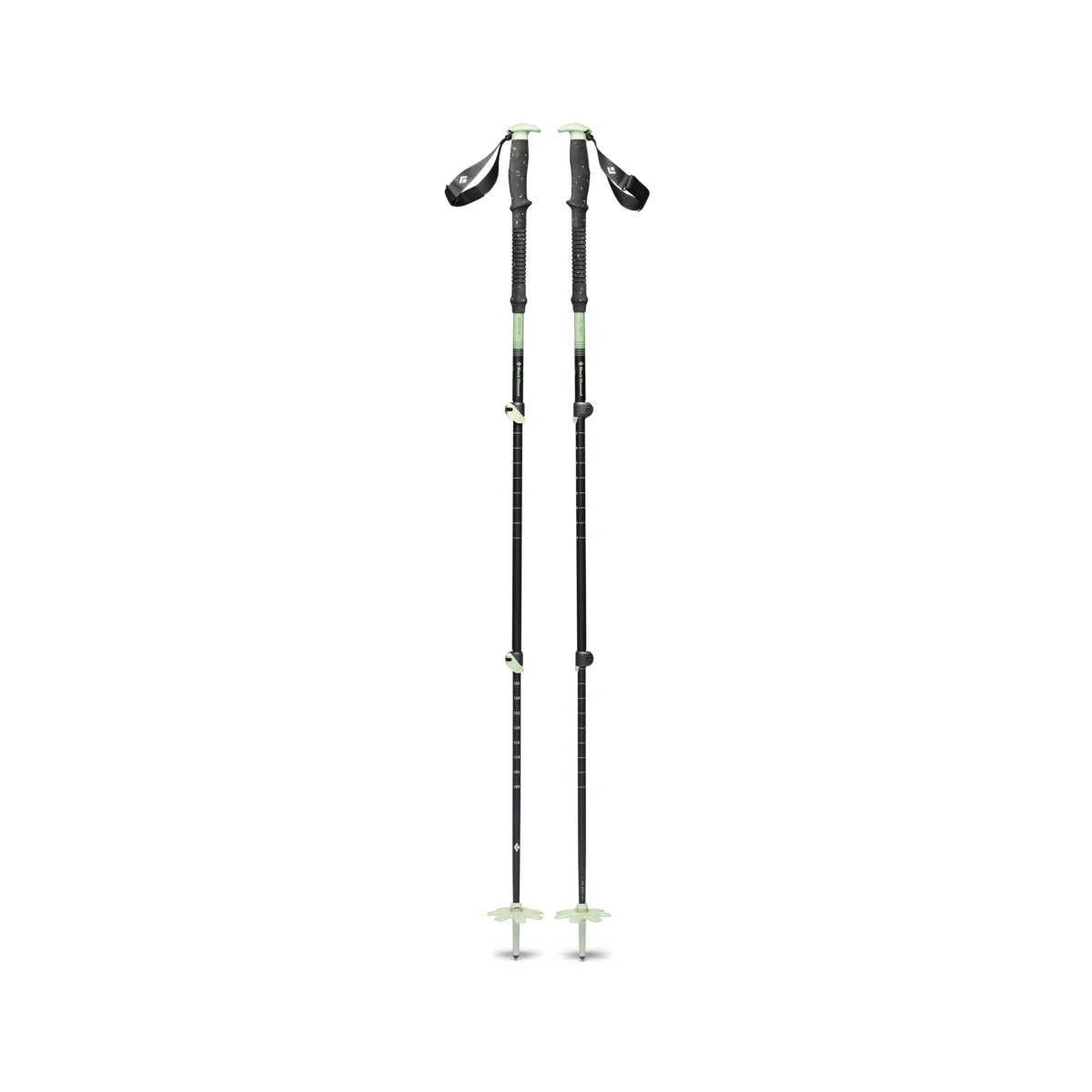 Expedition 3P Ski Poles