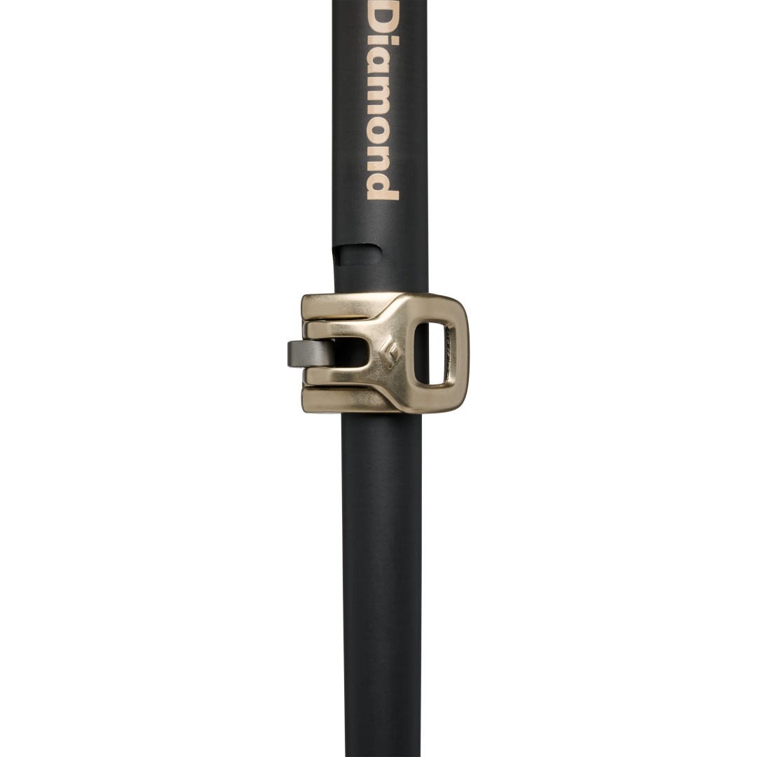 Expedition Carbon Pro Ski Poles