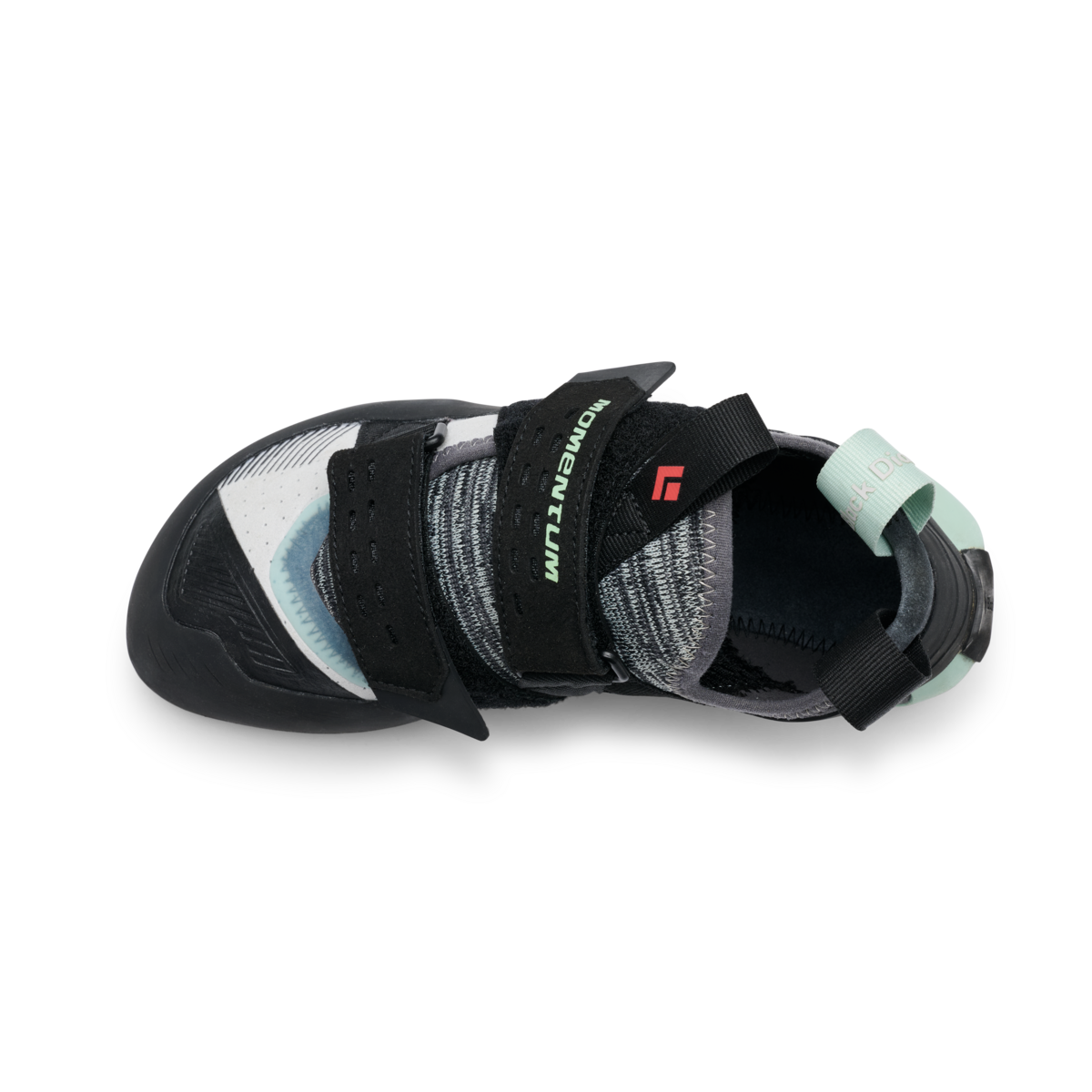 Foam Green/Alloy