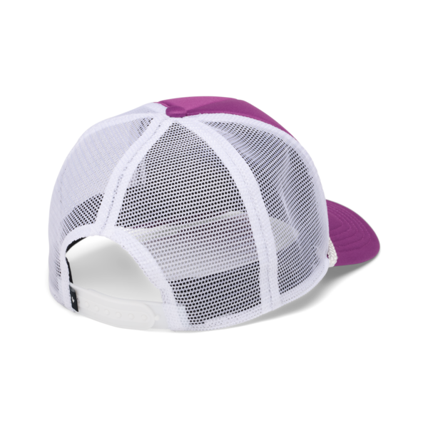 Purple/White Mountainscape
