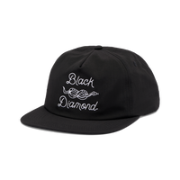 Black/White Snake