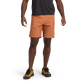 Moab Brown