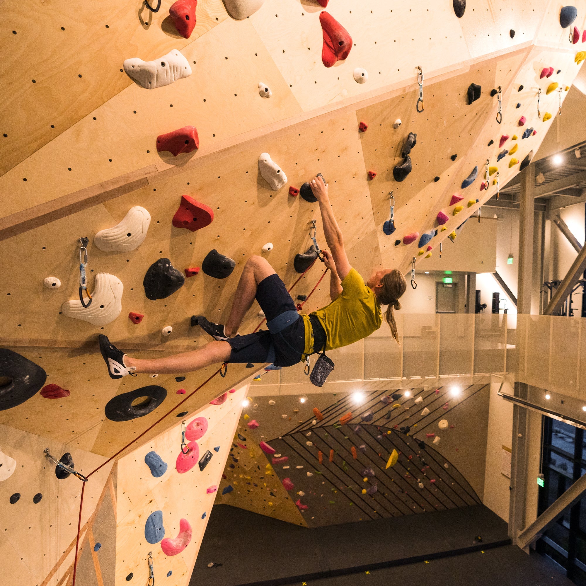 Momentum_Collection_Gym_CLimb_2000x2000px.jpg