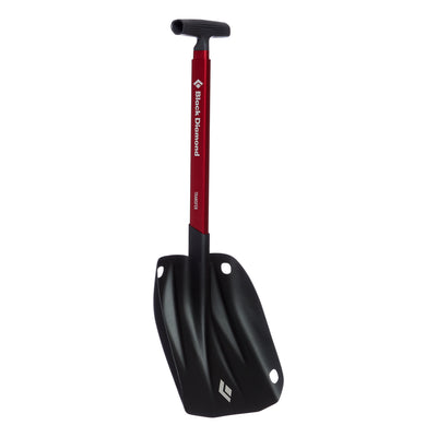 Transfer Shovel - Past Season