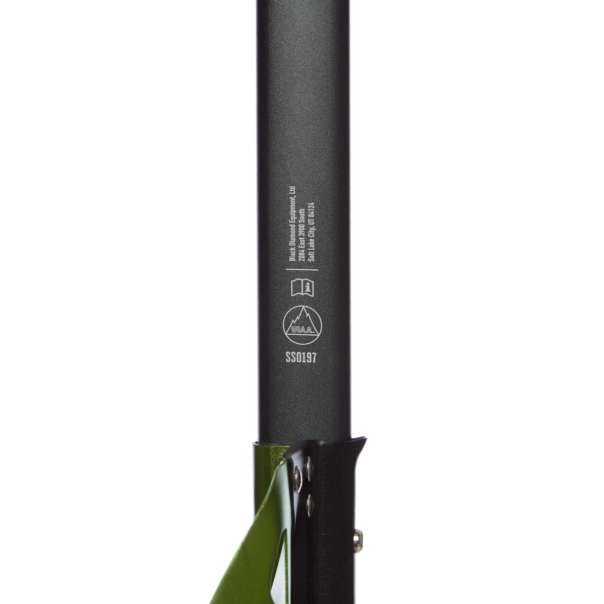 Envy Green