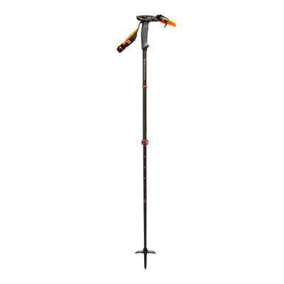 Carbon Whippet Ski Pole