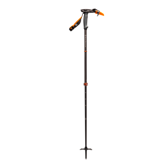 111582_0000_CARBONWHIPPETPOLE_