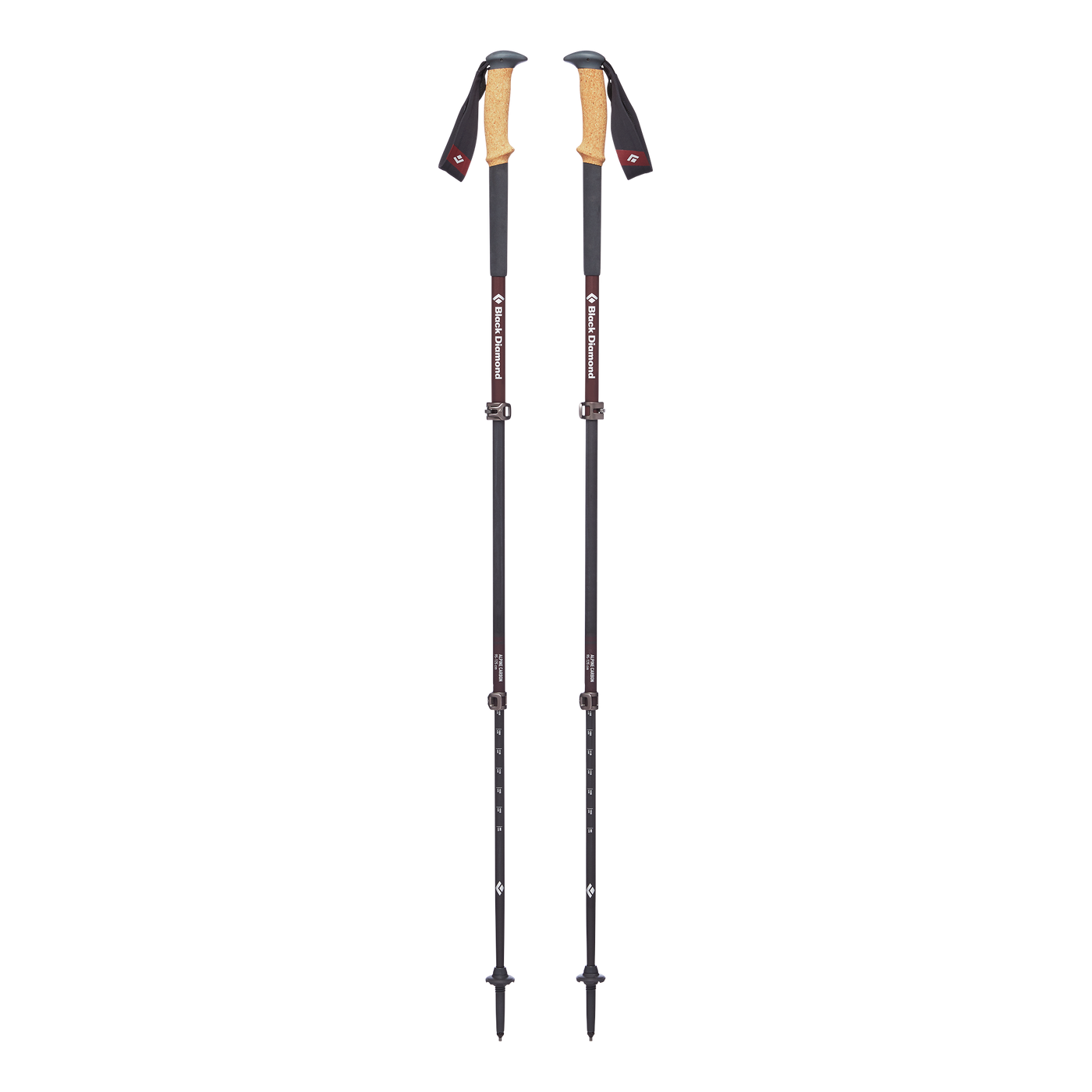 Alpine Carbon Cork Trekking Poles - Women's