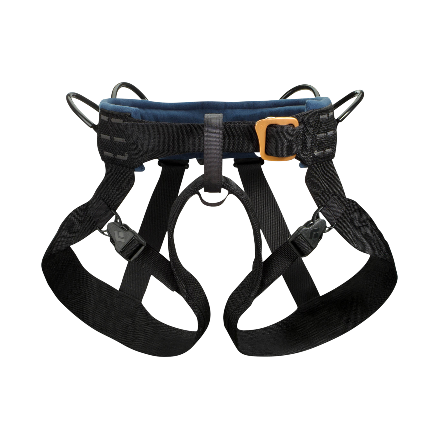 Bod Harness